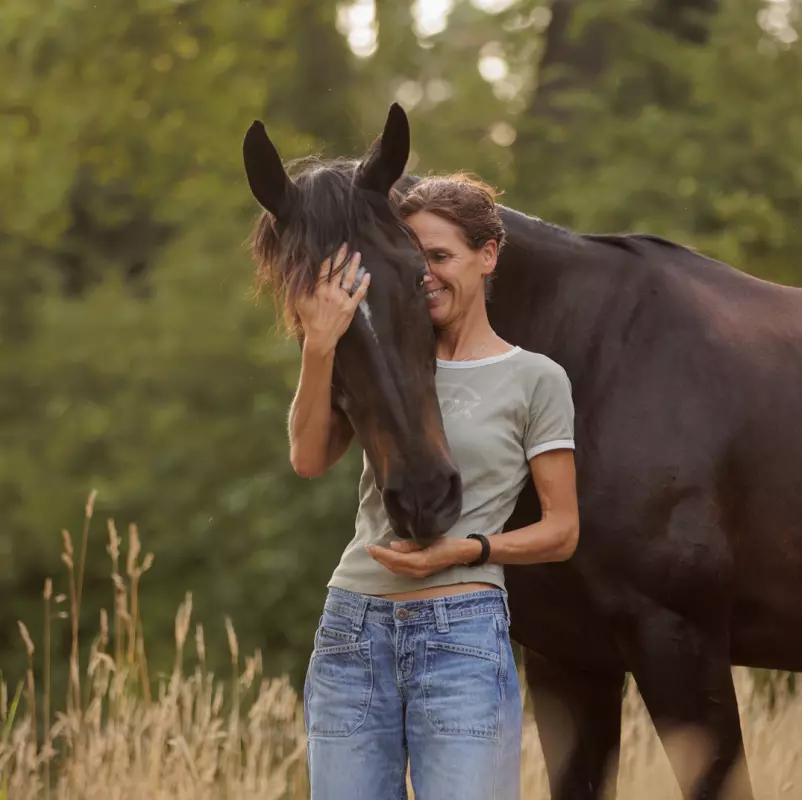 Bruin paard met witte bles met de naam Mokka